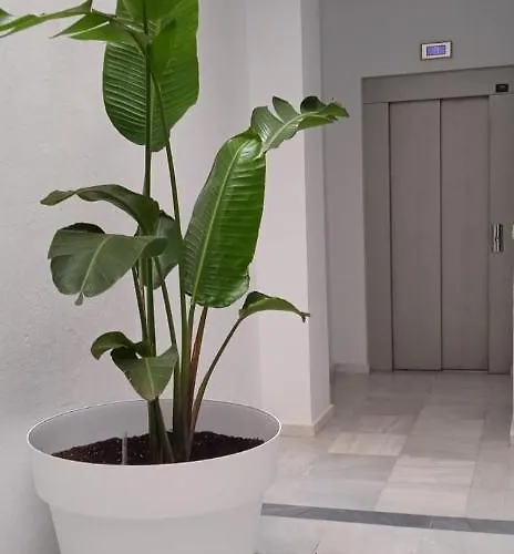 El 2 De Flamenco 1ºb Apartment Cadiz