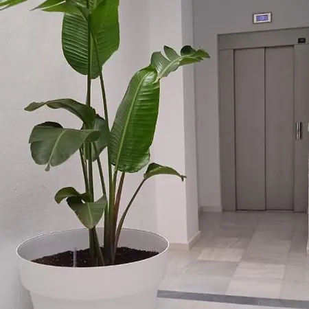 El 2 De Flamenco 1ºb Lejlighed Cádiz