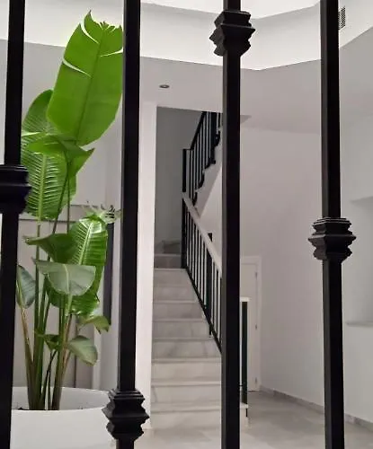 El 2 De Flamenco 1ºb Cadice